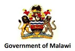Logo 4